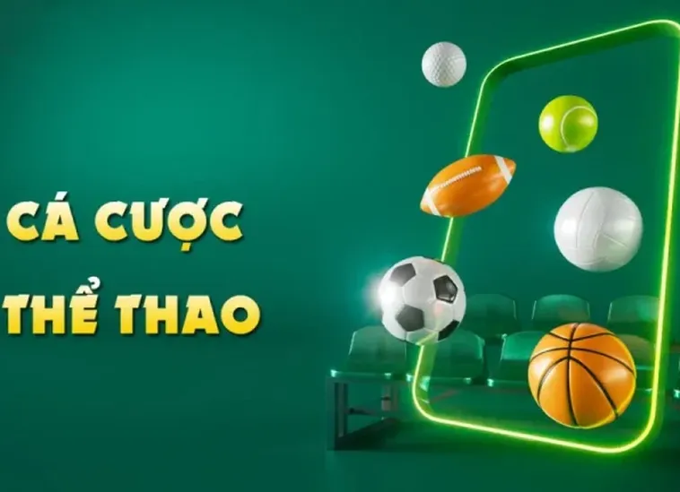 Hướng Dẫn So Sánh Lựa Chọn Thể Thao VINBET Hiệu Quả