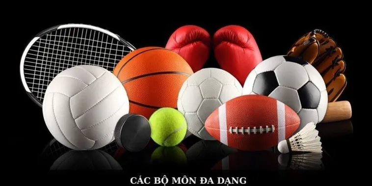 Thể Thao VUABET: Chinh Phục Đam Mê, Thắp Sáng Chiến Thắng 2 Thể Thao VUABET: Chinh Phục Đam Mê, Thắp Sáng Chiến Thắng