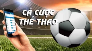 Hướng Dẫn So Sánh Lựa Chọn Thể Thao BJ88 Hiệu Quả 2 Hướng Dẫn So Sánh Lựa Chọn Thể Thao BJ88 Hiệu Quả